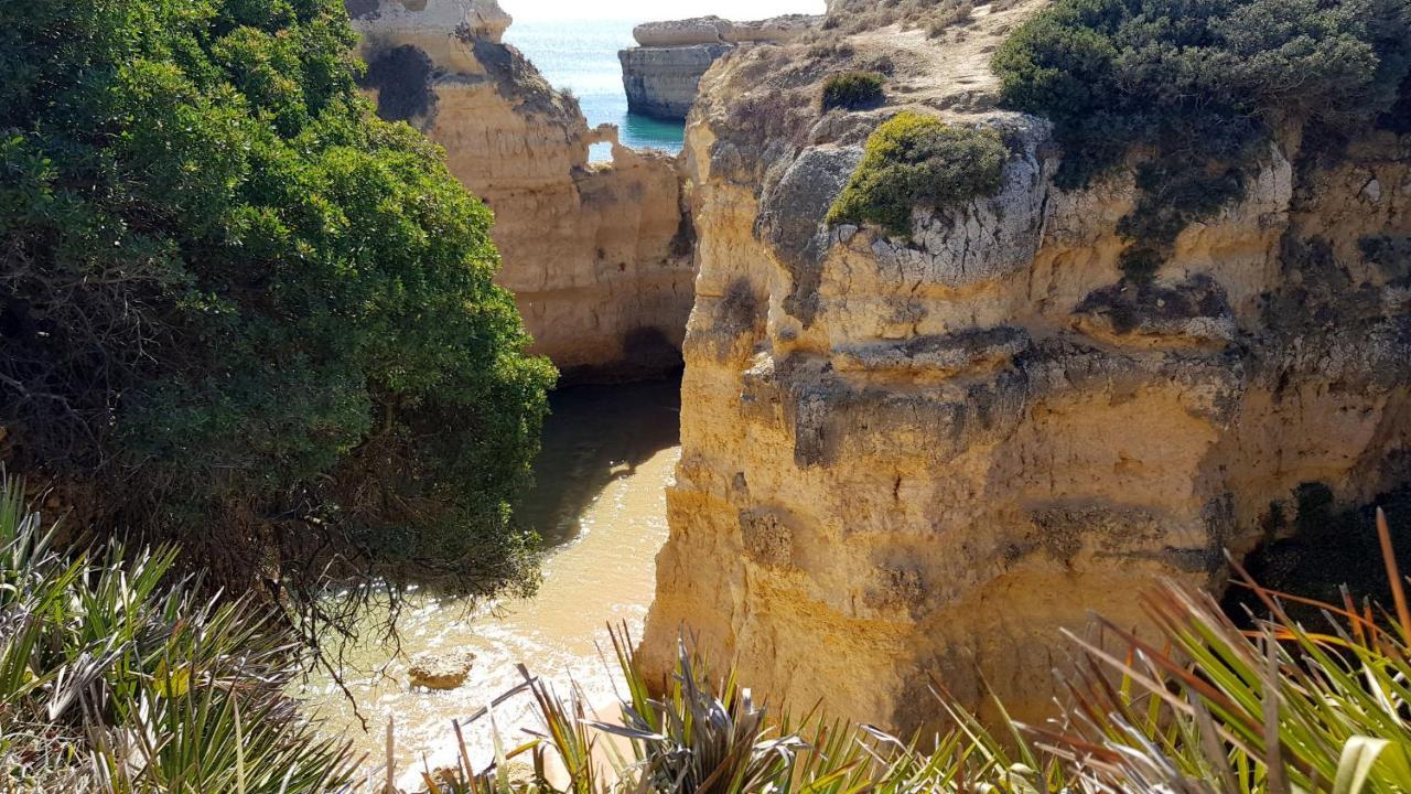 Magnific Studio With A Cozy Garden, 5 Minutes To The Beach Albufeira Zewnętrze zdjęcie