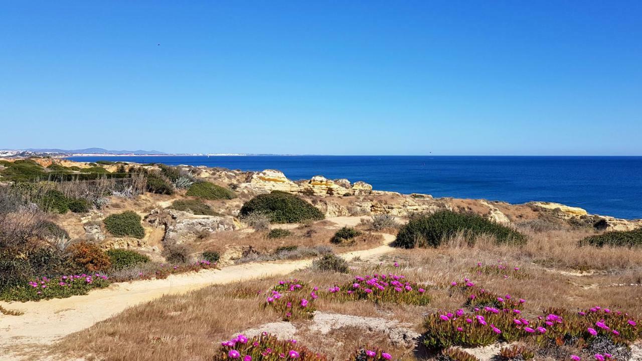 Magnific Studio With A Cozy Garden, 5 Minutes To The Beach Albufeira Zewnętrze zdjęcie