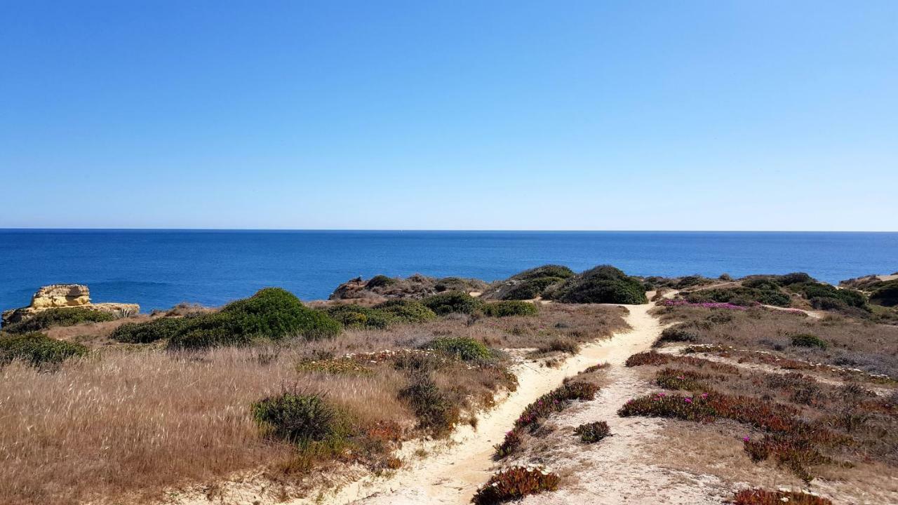 Magnific Studio With A Cozy Garden, 5 Minutes To The Beach Albufeira Zewnętrze zdjęcie